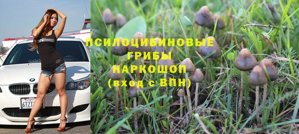 шишки Пересвет