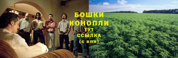 2c-b Балабаново