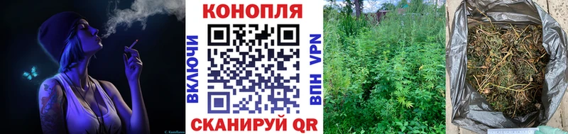 как найти закладки  Гудермес  Бошки марихуана THC 21% 
